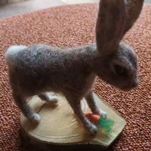 Sue added a photo of their purchase