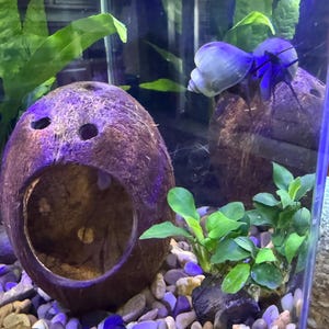 Jen a ajouté une photo de son achat