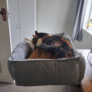 Olivia added a photo of their purchase