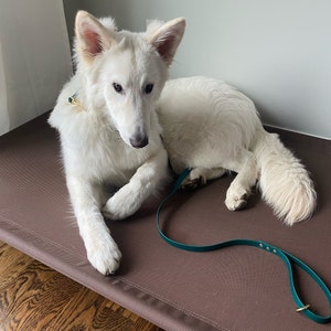 Alexa added a photo of their purchase