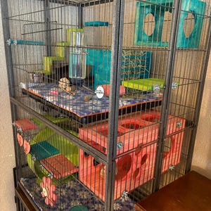 Lori added a photo of their purchase