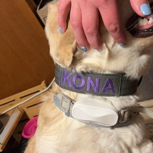 Kayleigh added a photo of their purchase