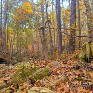 Jessie added a photo of their purchase