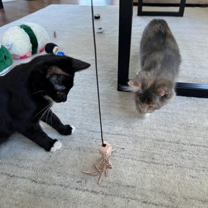 Benjamin added a photo of their purchase