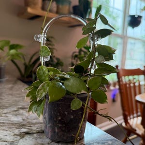Amanda added a photo of their purchase