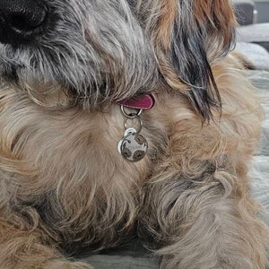 Jill ha aggiunto una foto del proprio acquisto