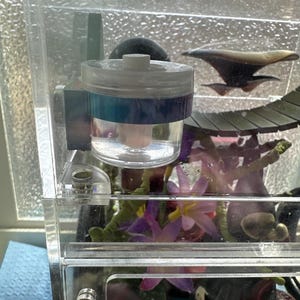 Amber added a photo of their purchase