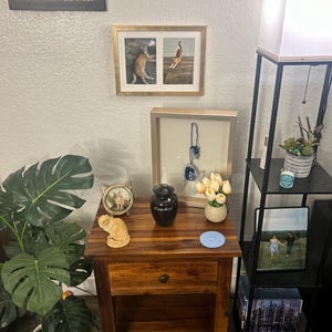 Ryley ha añadido una foto de su compra