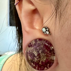 Missy added a photo of their purchase