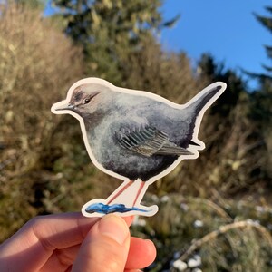 Kaylauna hat ein Foto des gekauften Artikels hinzugefügt