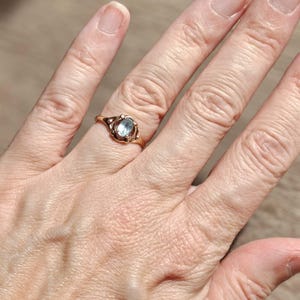 Dragger added a photo of their purchase