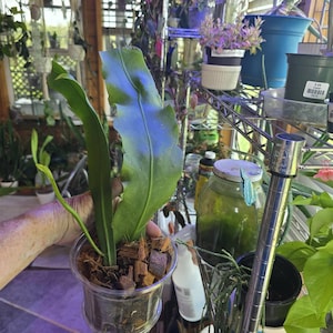Sidney added a photo of their purchase