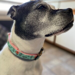 holly added a photo of their purchase