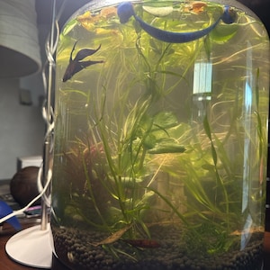 Leathea added a photo of their purchase