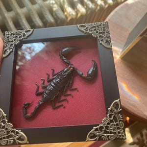 Kenzie added a photo of their purchase