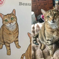 Custom Pet Coloring Pages Custom Pet Portraits Coloring Page Download ...