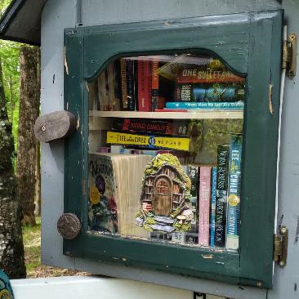 Woodland Library Fairy Door Decal - Etsy