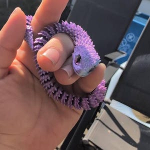 Inim added a photo of their purchase