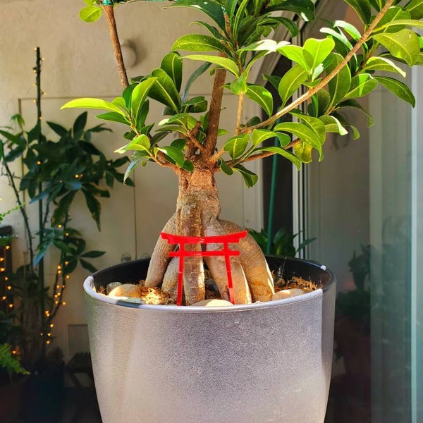 Asian Inspired Shibari Harness Robe Jacket • Backless Kimono • Chinese ...