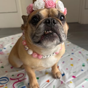 kim adicionaram uma foto da sua compra