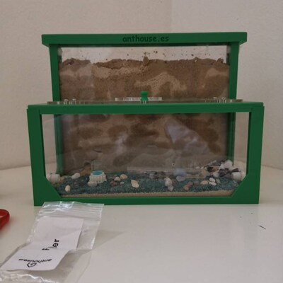 AntHouse - Natural Sand Anthill 3D Basic Kit (Sandwich Foraging Box) Grey Ants - Foto 6