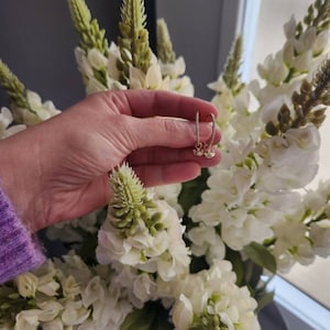 Helena added a photo of their purchase