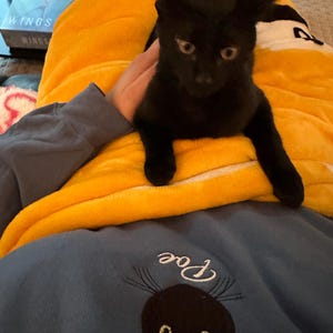 Megan added a photo of their purchase