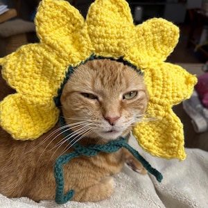 Jane added a photo of their purchase