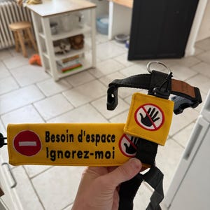 MOUILLAT ha aggiunto una foto del proprio acquisto