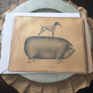 Cat Riding Moose Abyssinian Cat Riding Moose Vintage Collage | Etsy