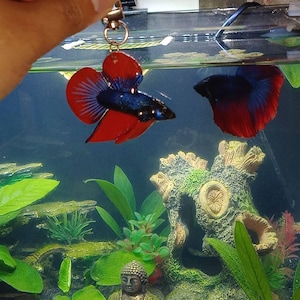 Erin added a photo of their purchase