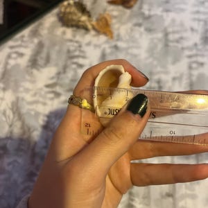 Levi added a photo of their purchase