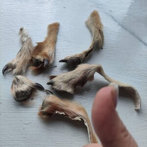 Таня added a photo of their purchase