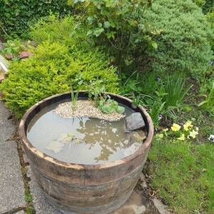 Cheeky Chicks Ltd Rustic Oak Traditional Wooden Whisky Barrel Review