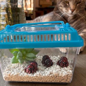 Dora added a photo of their purchase