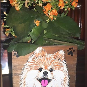 Raphelina added a photo of their purchase