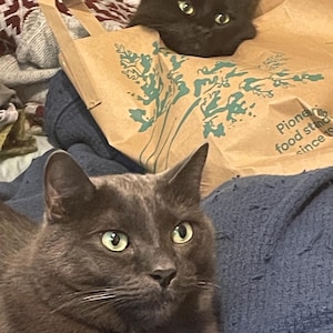 Just added a photo of their purchase