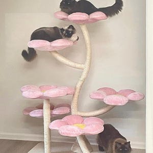Sandra added a photo of their purchase