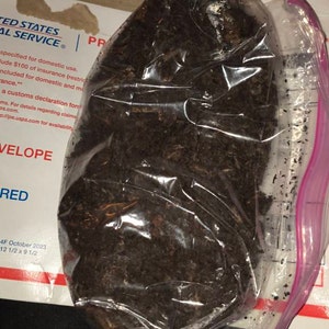 lauren added a photo of their purchase