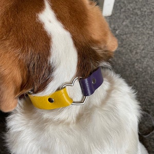 Kirsty added a photo of their purchase