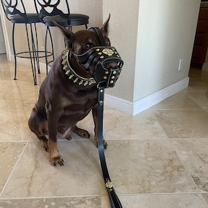 Louis added a photo of their purchase