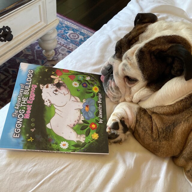 Official Eggnog the Bulldog Custom Ramp House Blueprints Etsy