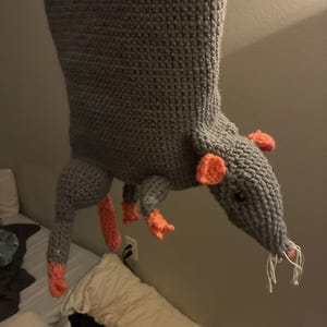 Spaghetti added a photo of their purchase