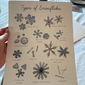 Etsy-Käufer:in hat ein Foto des gekauften Artikels hinzugefügt