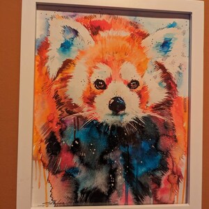 スラベイカ・アラジョワによるレッサーパンダの水彩画プリント、アート