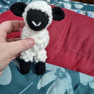 Laetitia added a photo of their purchase