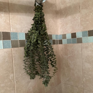 Arianna added a photo of their purchase