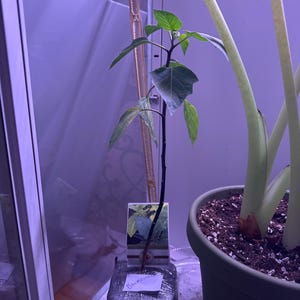 Becky added a photo of their purchase