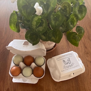 Tracy added a photo of their purchase