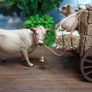 Anita added a photo of their purchase